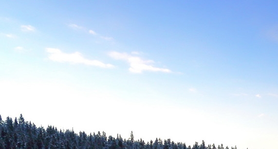 世界杯法国队球员名单