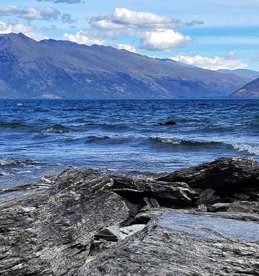 拓斯达科技股份有限公司怎么样