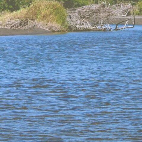 中国科技馆官网订票