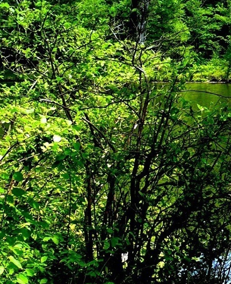 群名称比较有创意友谊