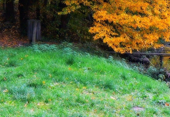 德阳农业科技职业学院是公办还是民办