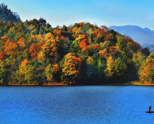 成渝钒钛科技有限公司领导班子名单