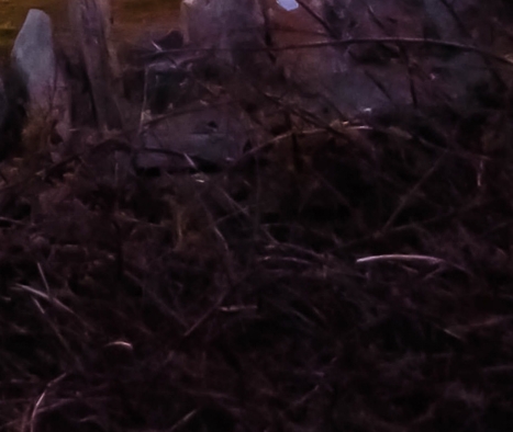 魔兽世界职业大厅战役任务流程