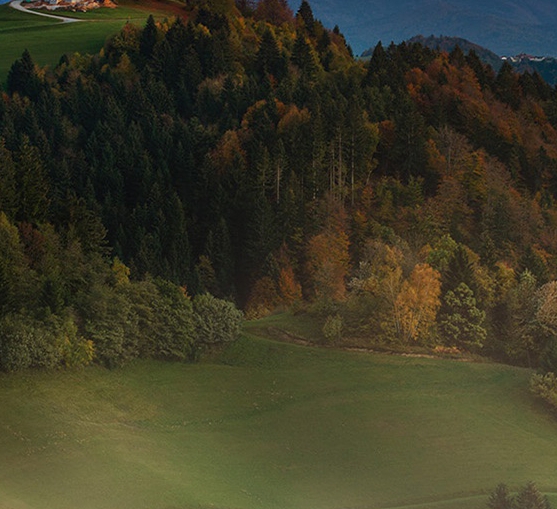 北京大学世界排名