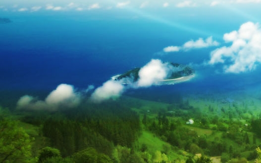 从这个世界上消失