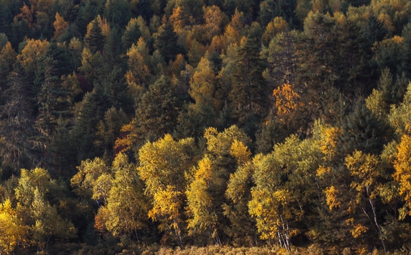中国世界遗产介绍