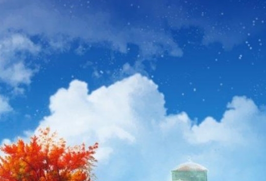 篮球世界杯历届冠军