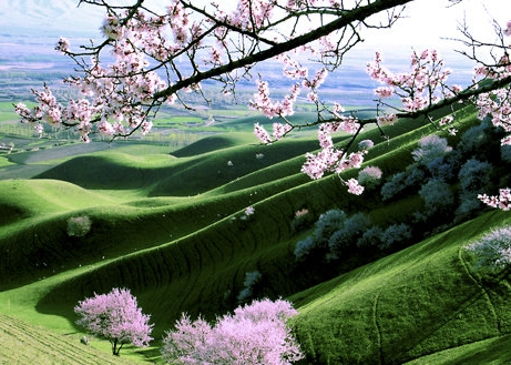 深圳品网科技有限公司待遇