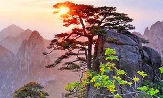 海底世界门票优惠政策