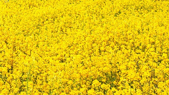 河南科技馆盛大开放：新馆门票网上预约，欢迎科技爱好者参观体验！