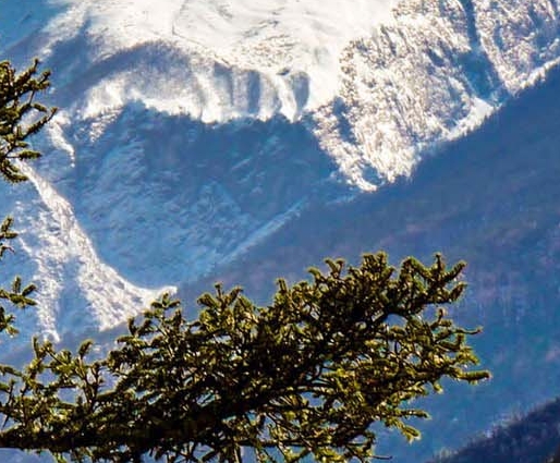 2012世界末日国语完整版免费观看