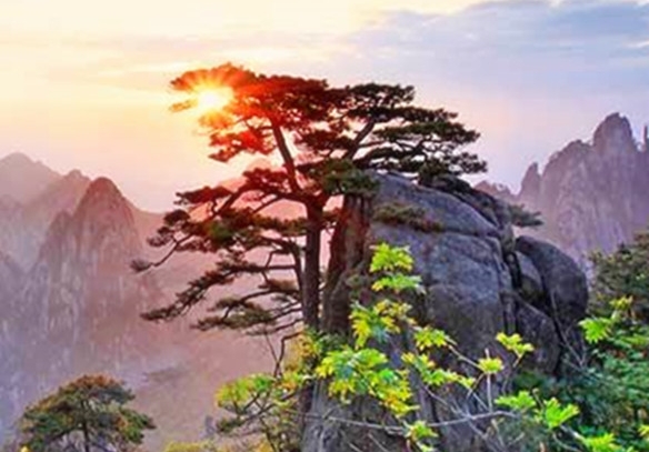 六安论坛六安杂谈