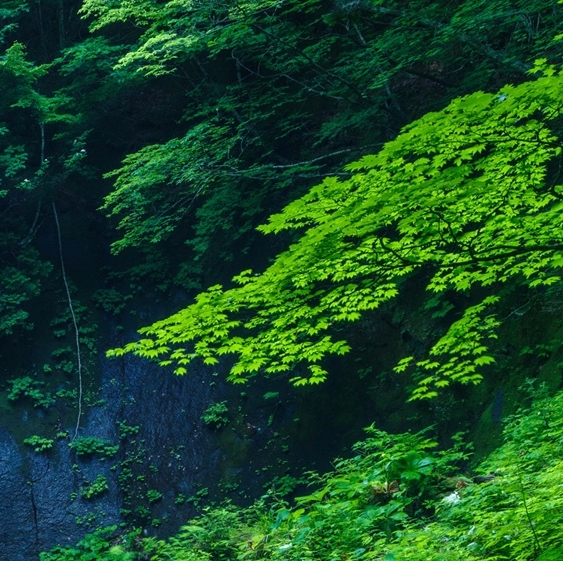 我的世界动画：冒险之旅——探索无限可能，揭开神秘大电影之谜