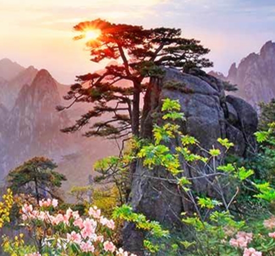 上海宝藤生物医药科技：领先行业，待遇优厚，诚邀您的加入！