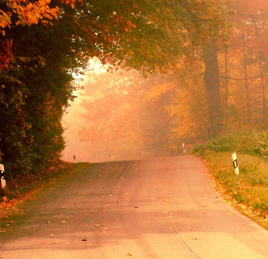 广东中联兴环保科技有限公司联系电话