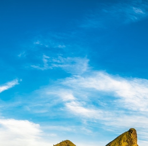 重庆优纳科技有限公司