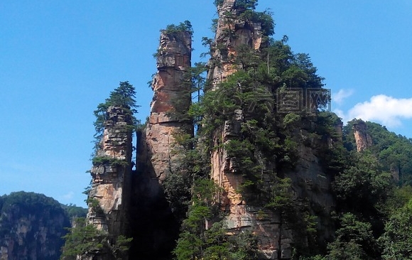 振华科技股最新消息