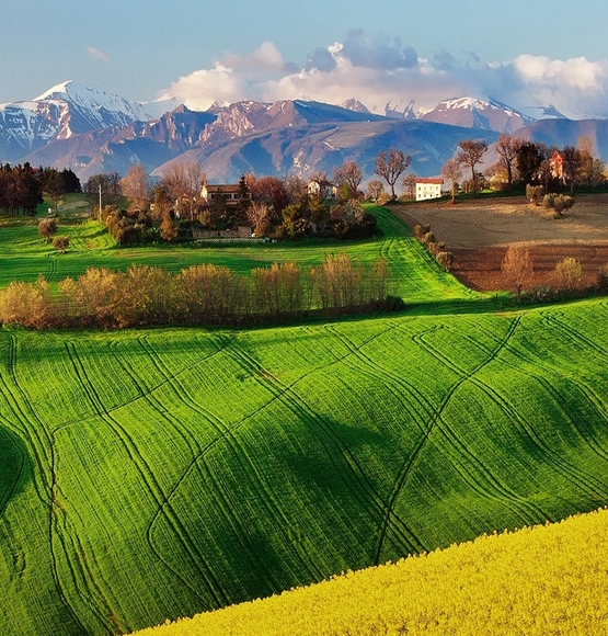 深圳市博奥特科技有限公司业务规模