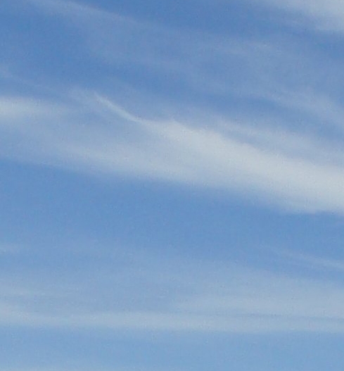 2023年会有丧尸吗