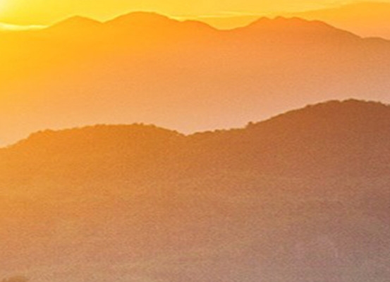 世界最薄避孕套排名