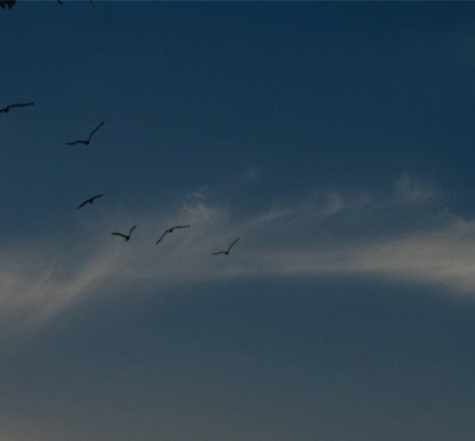 世界十大顶级蓝牙耳机品牌