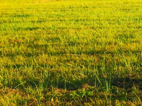 科技服务公司名字