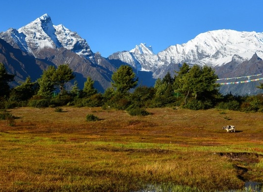 红色警戒2科技时代4.0