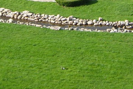 魔兽世界精灵插件好还是大脚插件好