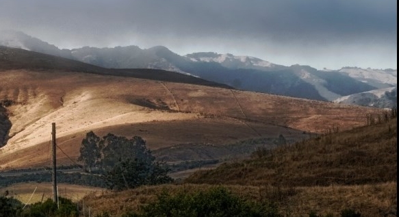 女足世界杯比赛时间