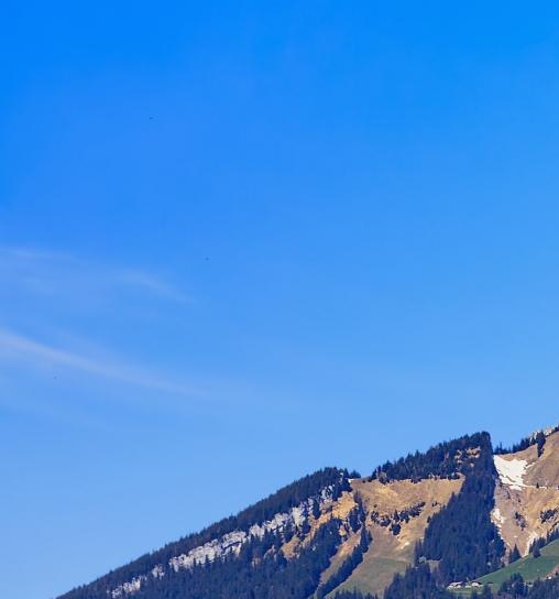 边缘世界在线观看