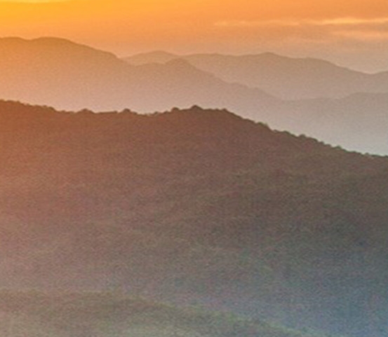 山东赛托生物科技股份有限公司招聘