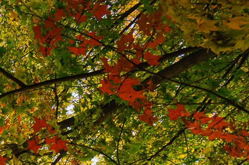 赛纳科技股份有限公司老板