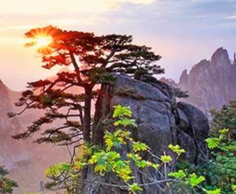 佛山科技大学在哪里