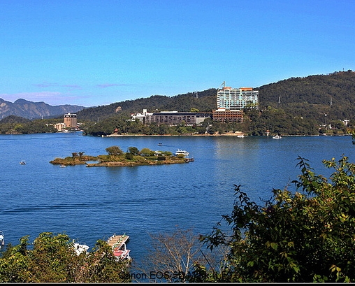 动物世界走进狗的世界