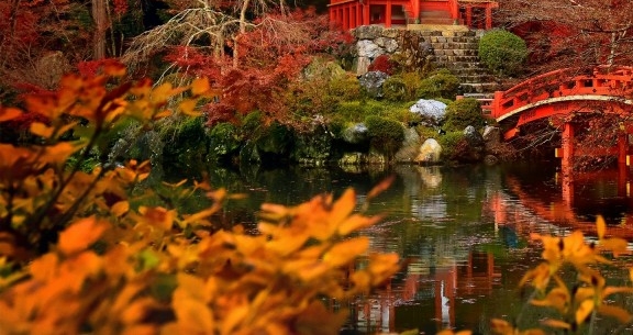 小说完美世界简介