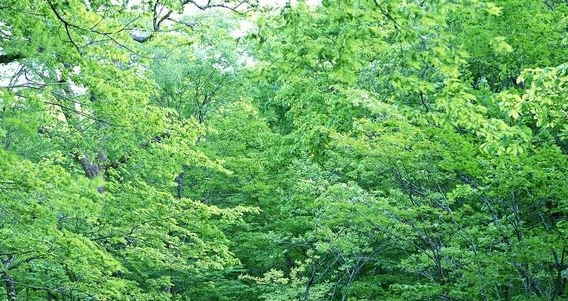 让世界充满爱作文600字初一用并列