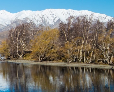 小米科技客服电话
