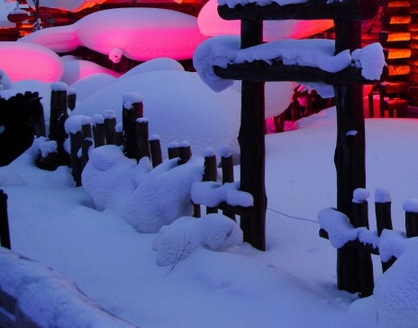 世界微尘里电视剧免费观看完整版高清