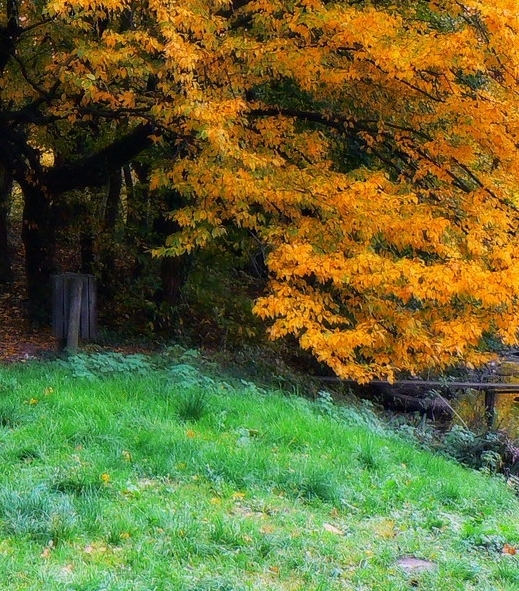 世界睡眠日是几月几日今年是第几个睡眠日
