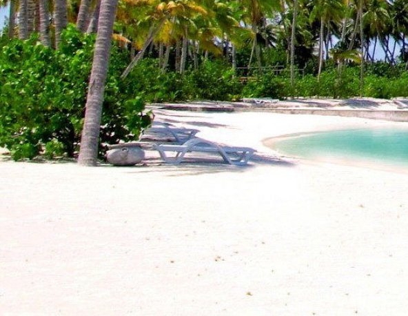 随手科技客服电话