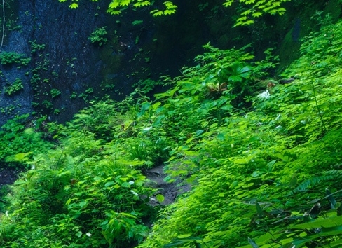 世界天气预报app