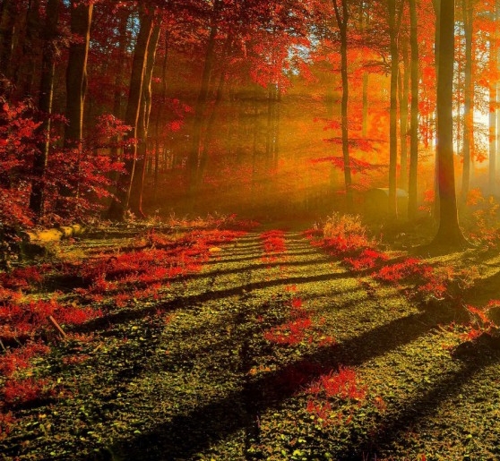 2021世界旅游小姐冠军