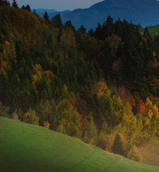 蓝色科技背景墙