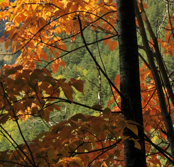 济南科技馆新馆开放时间和门票