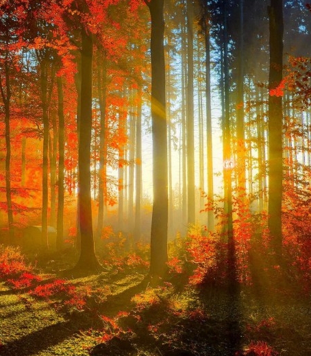 天津天地伟业数码科技有限公司上市