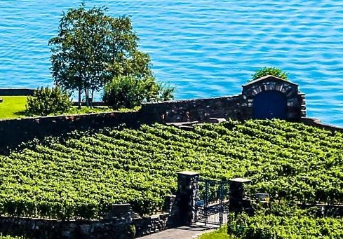 深圳市致远科技有限公司官网