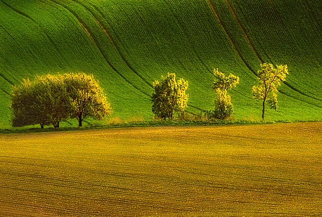 四方科技集团股份有限公司官网