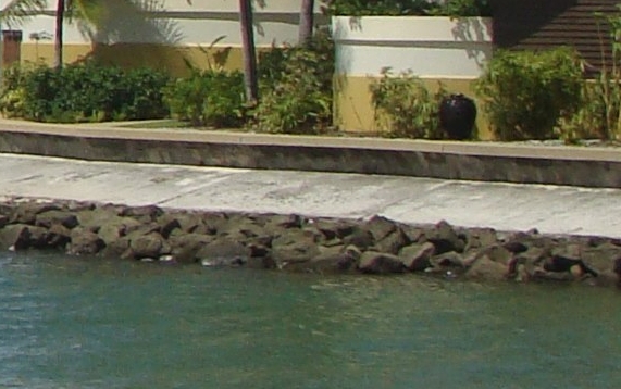 安世亚太科技股份有限公司官网