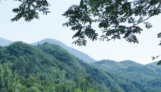 厦门壹生信息科技有限公司营业执照