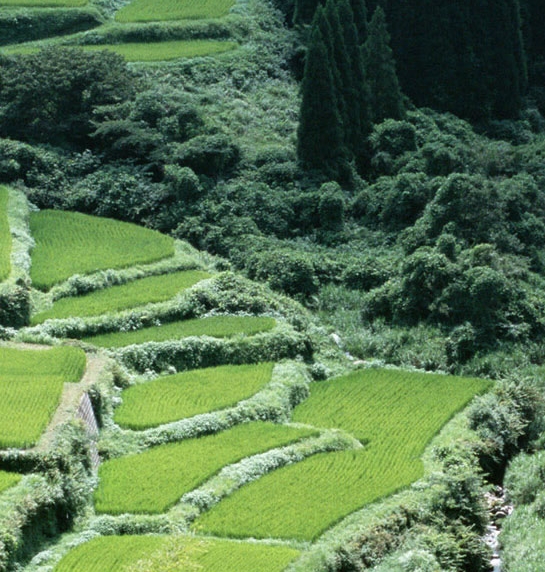 天书科技